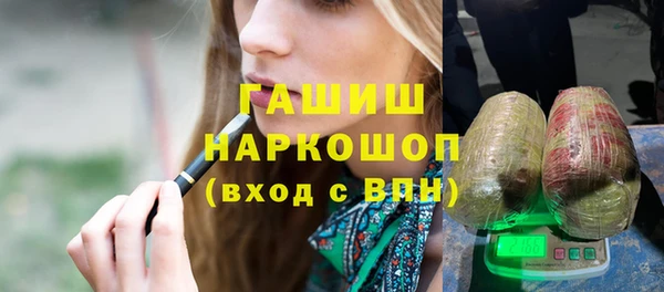 СК Инта