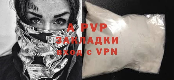 СК Инта