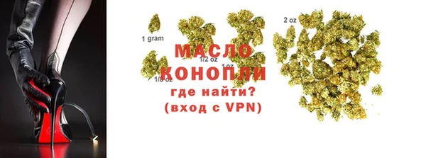 СК Инта