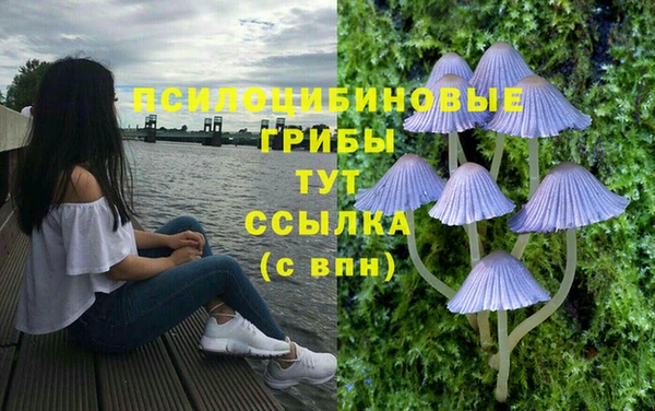 jwh Инсар