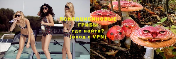 СК Инта