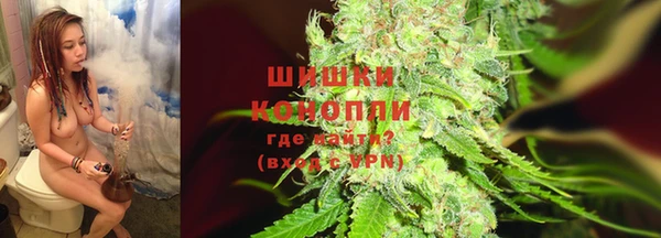 СК Инта