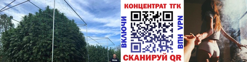 Дистиллят ТГК гашишное масло Дербент