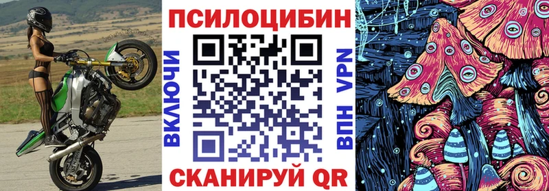 Псилоцибиновые грибы Cubensis купить закладку Дербент